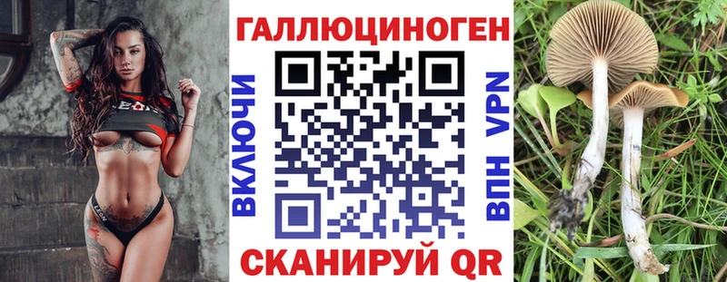 наркотики  Вихоревка  Псилоцибиновые грибы GOLDEN TEACHER 